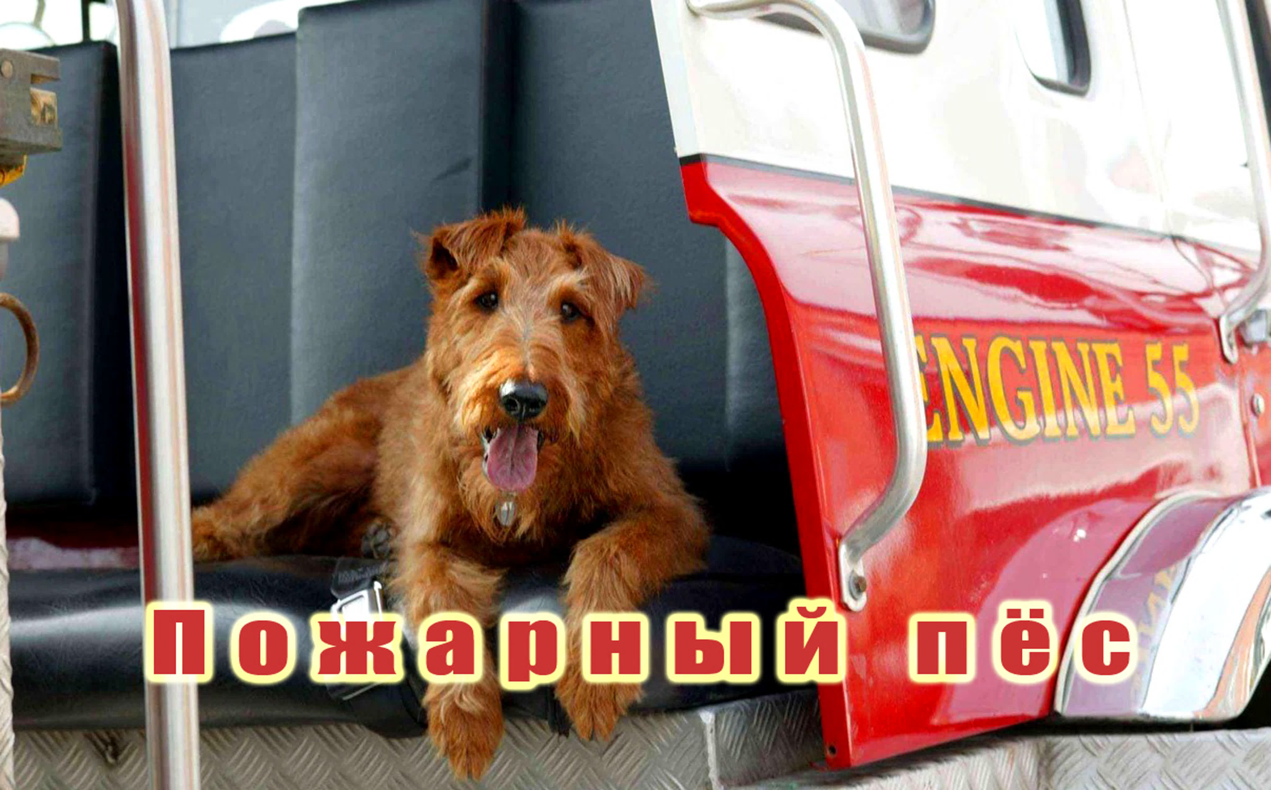 Душевные фильмы