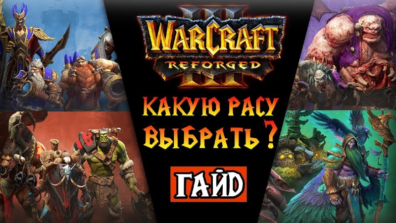 Обучающие видео Warcraft3 Reforge (2020)