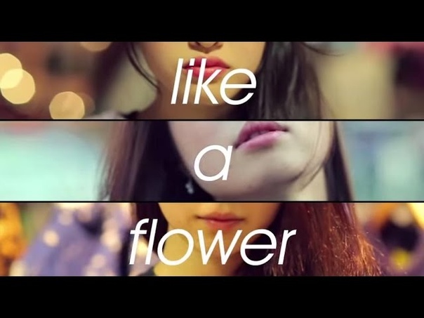 ☆ After School ☆