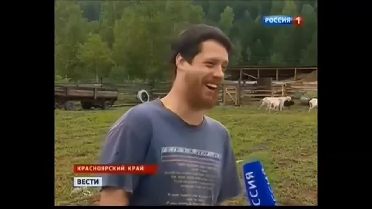 Юмор