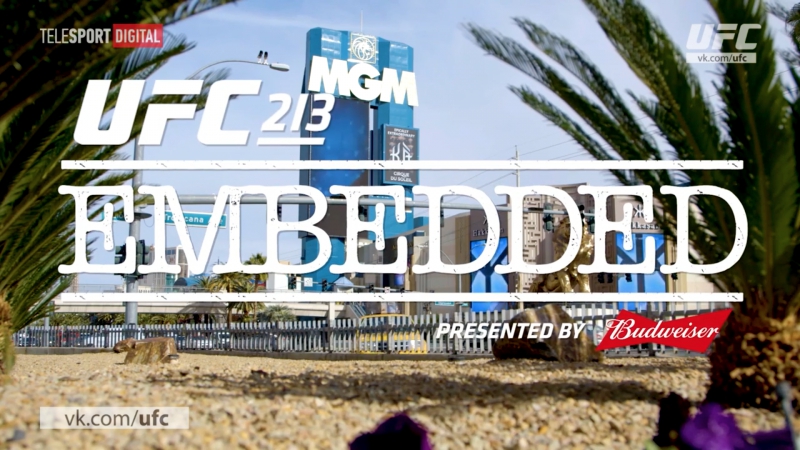 UFC 213