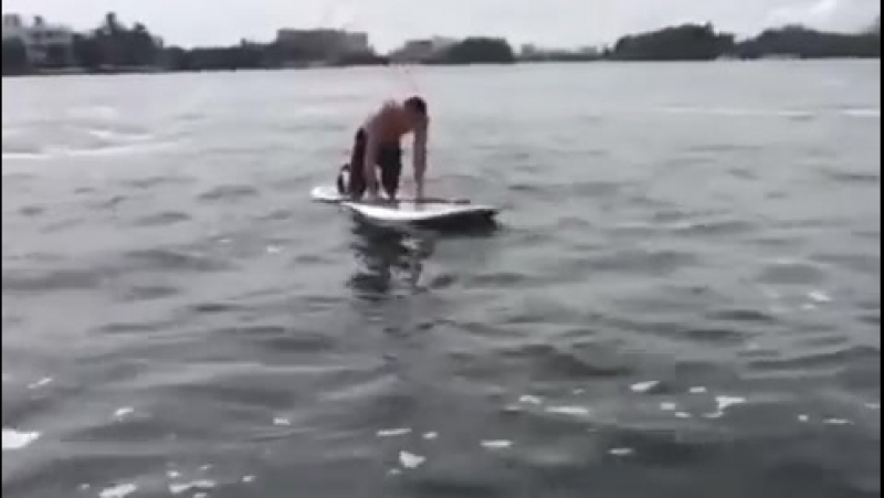 Приколы про Спорт