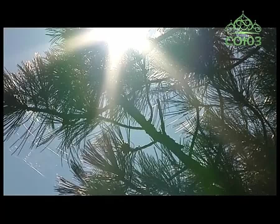 Фильмы о православных святых