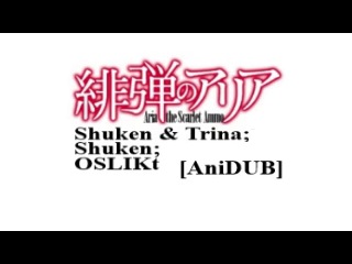 Hidan no Aria [AniDUB]