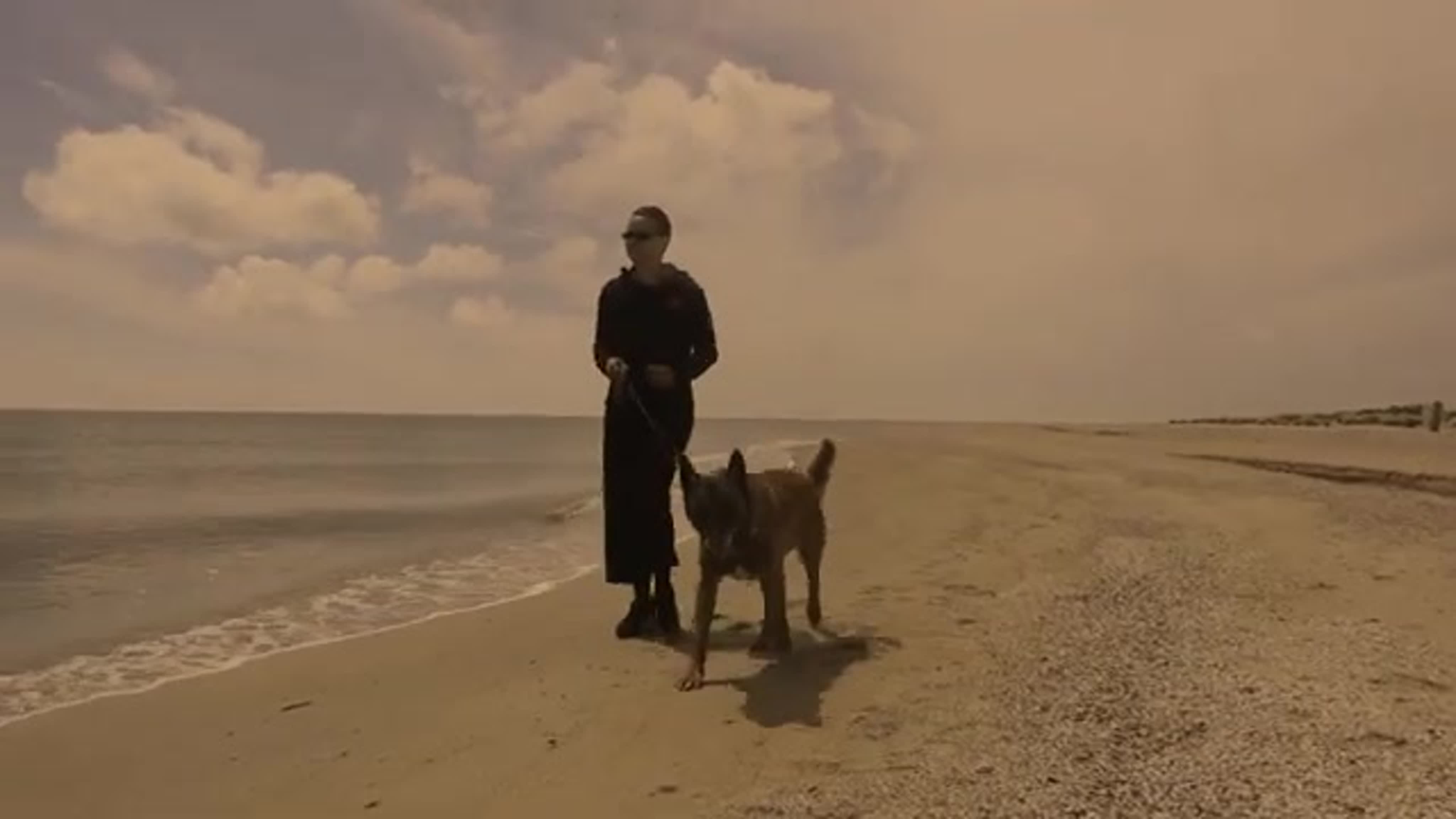 МУЗЫКАЛЬНЫЕ КЛИПЫ