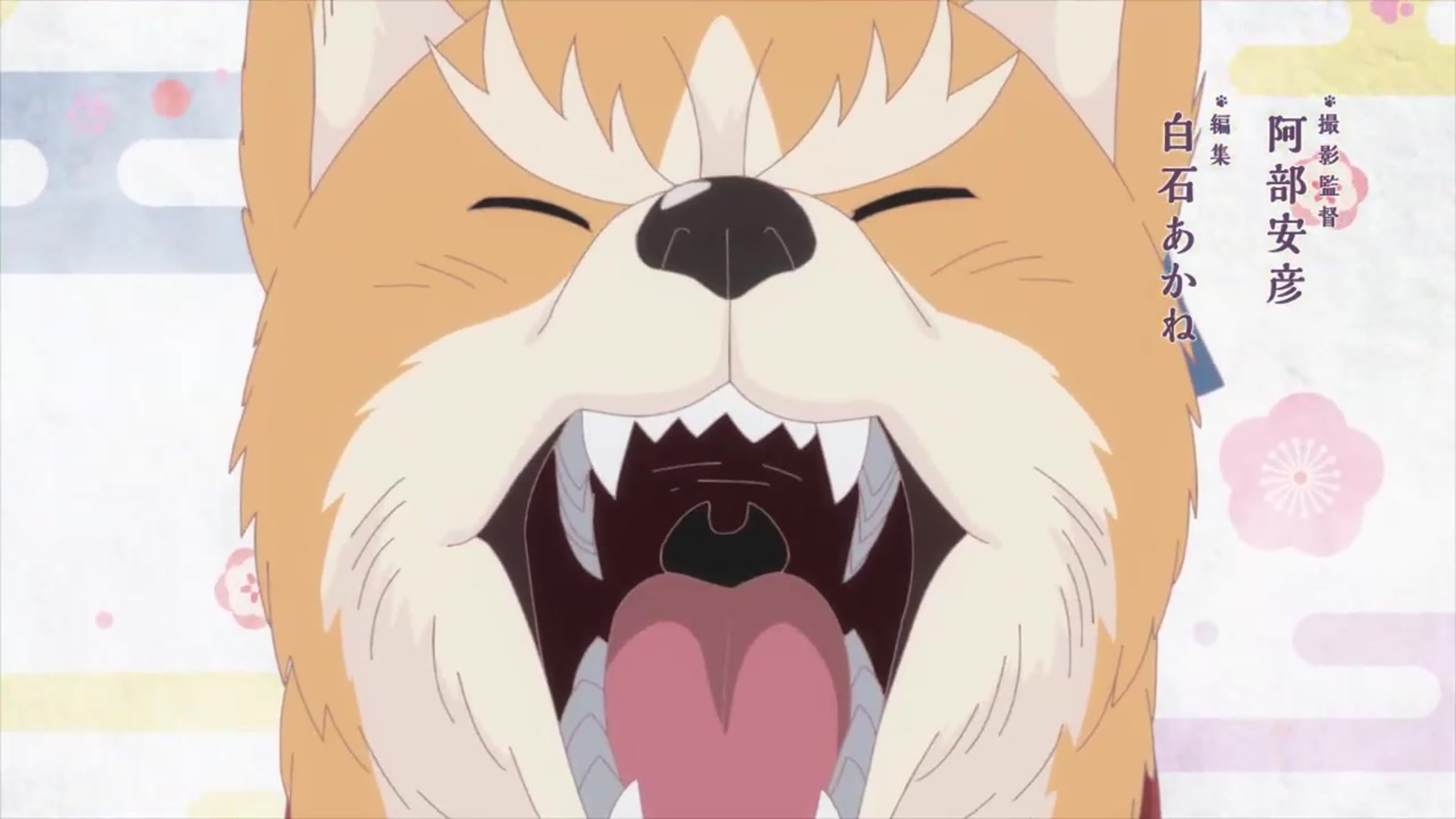 [AnimeVostorg] Ода «Корица» Нобунага / Oda Cinnamon Nobunaga