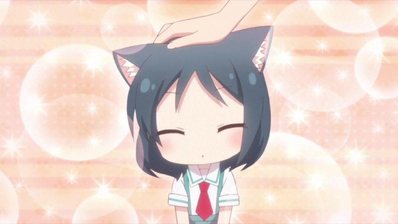 Кошачьи дни / Nyanko Days