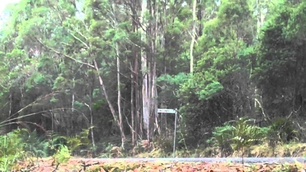 Targa Tasmania