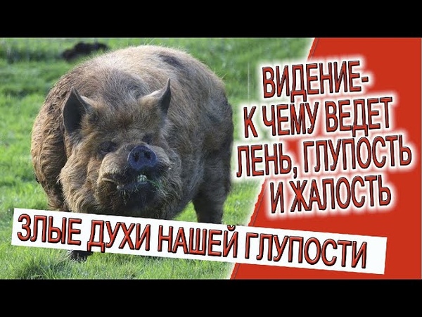 Мудрость