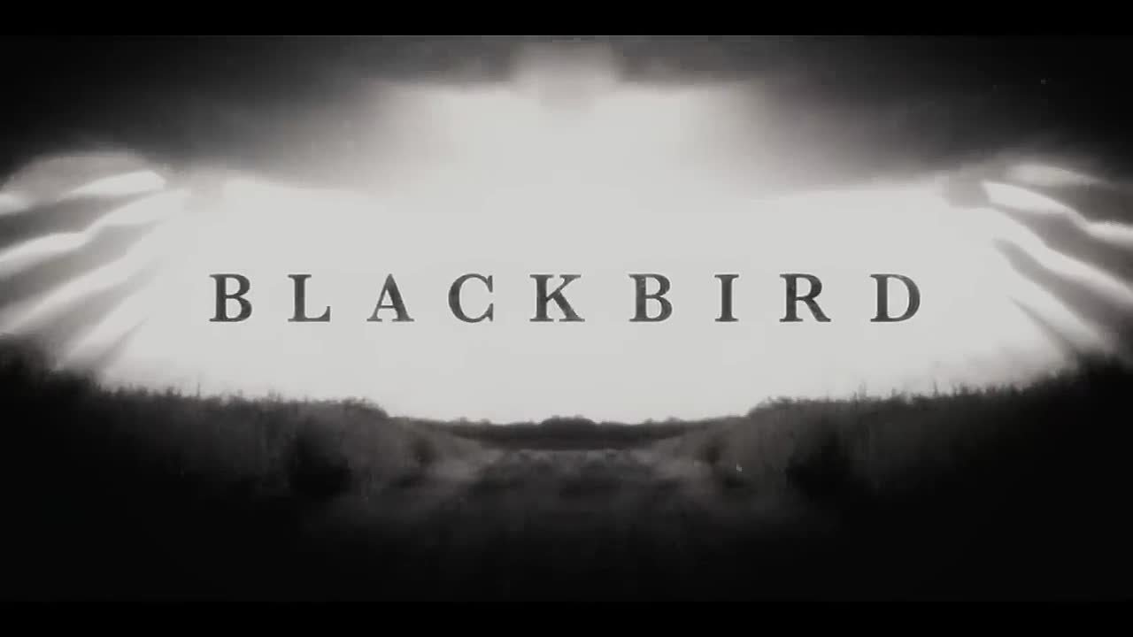Черная птица / Black Bird