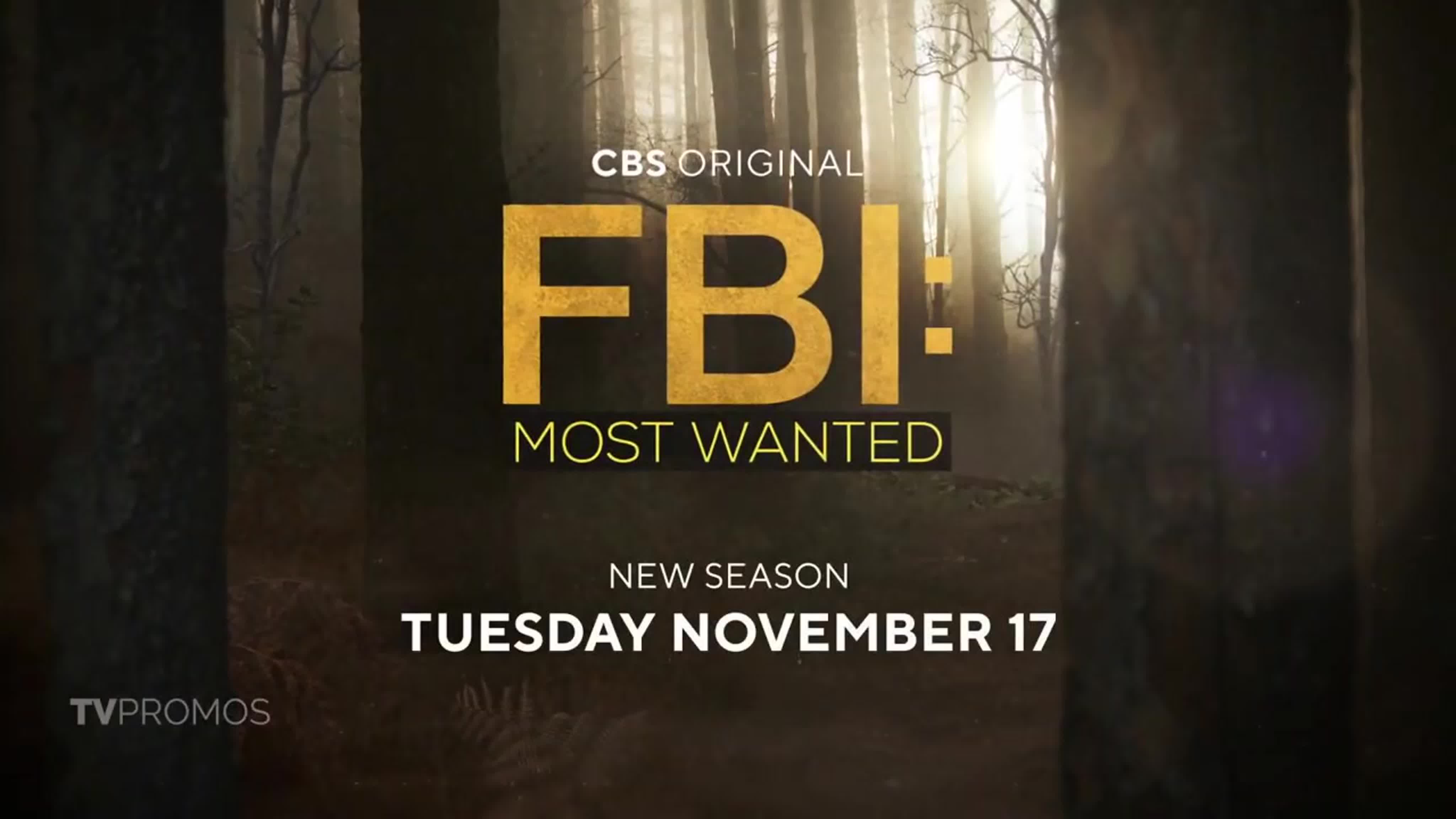 FBI: Most Wanted/ФБР: Самые Разыскиваемые Преступники