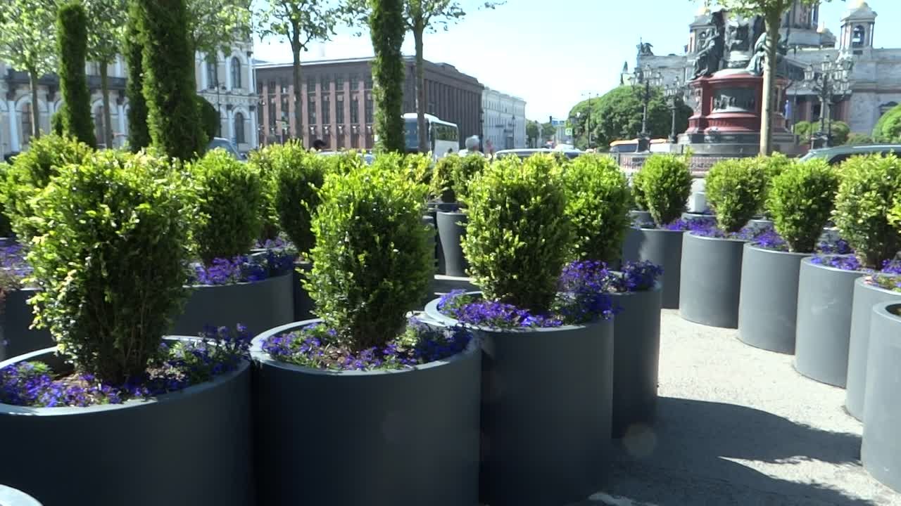 13.06.2023 г.. САНКТ-ПЕТЕРБУРГ. САД-ТРАНСФОРМЕР НА ИСААКИЕВСКОЙ ПЛОЩАДИ.