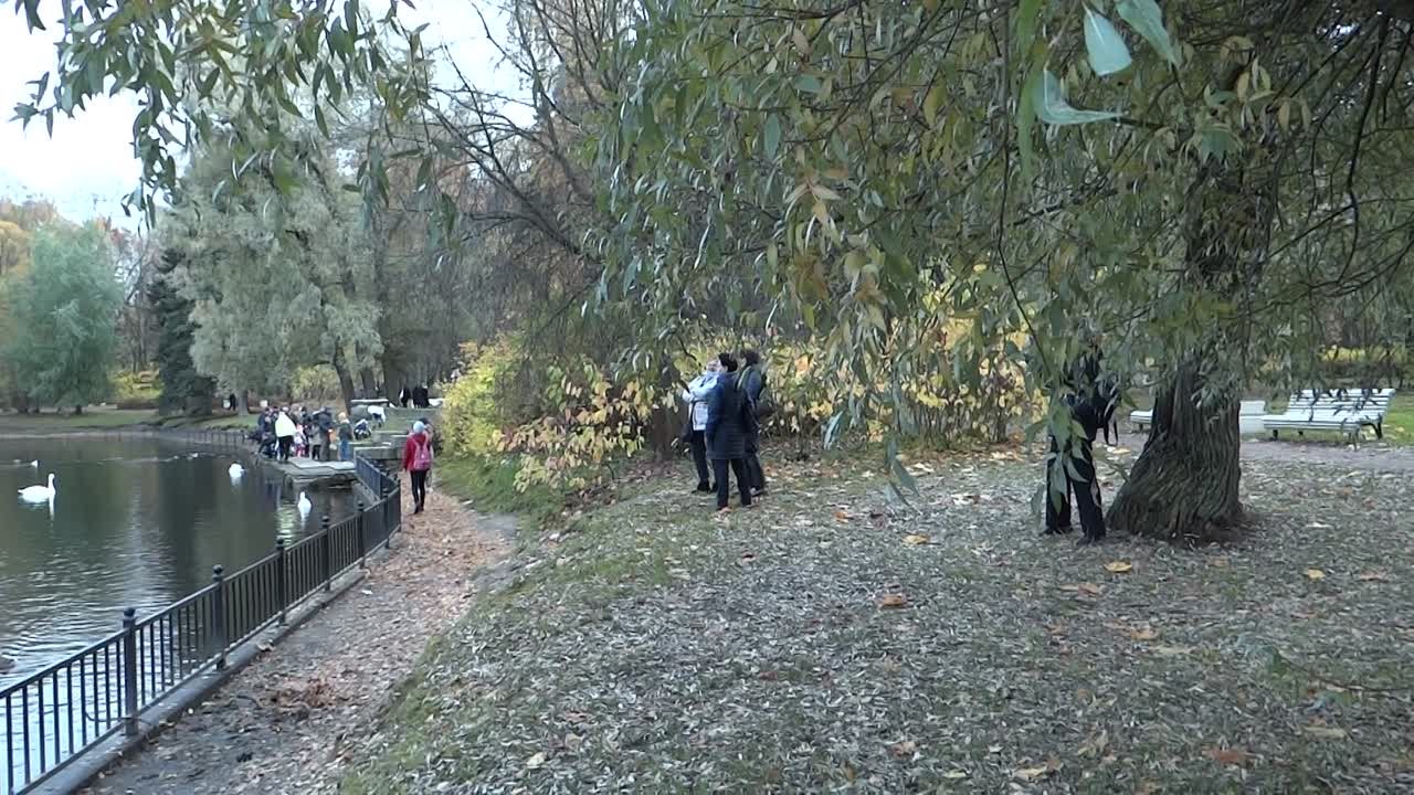 24.10.2022. ЛЕБЕДИНОЕ ОЗЕРО СП-б. КРЕСТОВСКИЙ ОСТРОВ Видео Н.Кутиковой