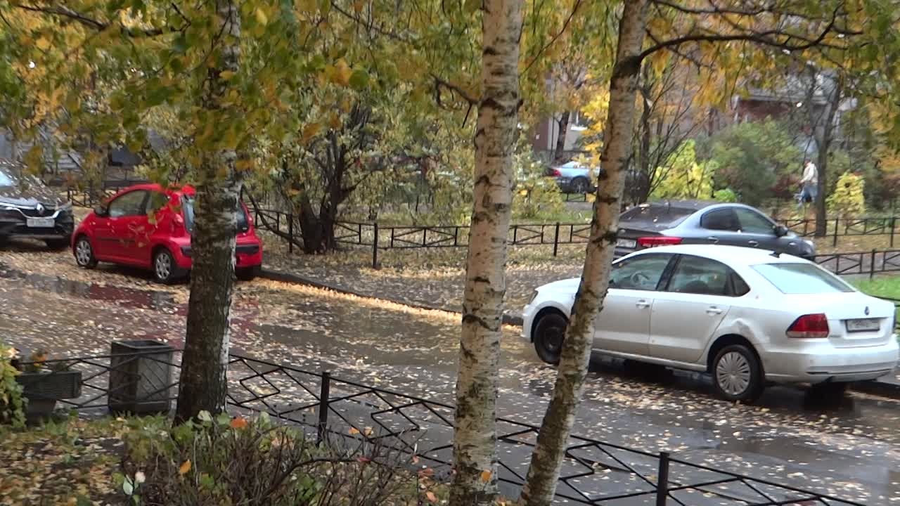 21.10.2022.«ОСЕНЬ,ТЫ НА ГРУСТЬ МОЮ ПОХОЖА» Видео Н.Кутиковой