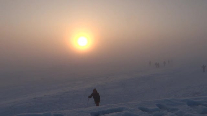 23.01.2018 год. ТУМАН-ТУМАНИЩЕ. Финский залив. Парк 300-летия С-Пб. Видео Н.Кутиковой