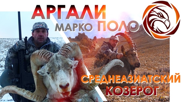 Охота на Экзотических Животных