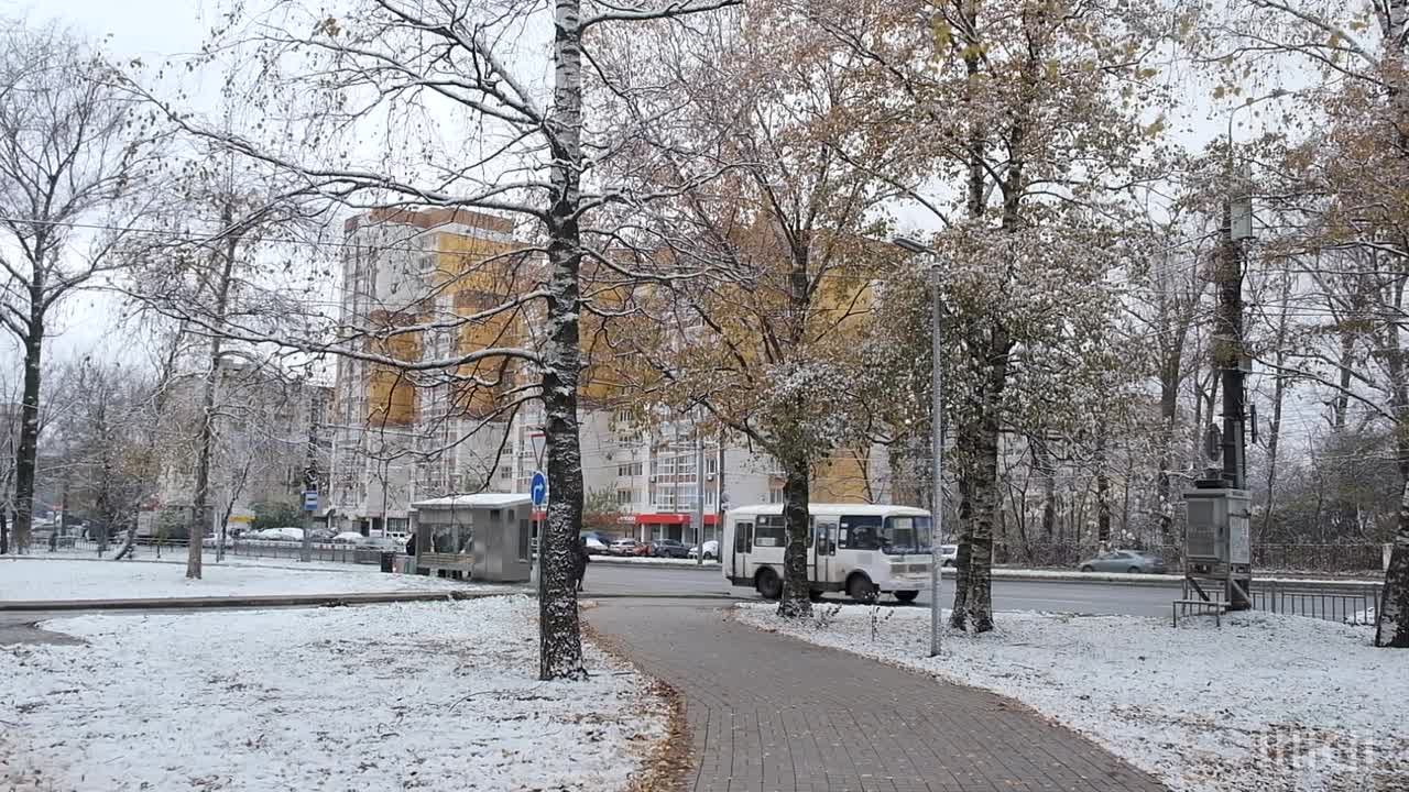 ВИДЕО ИНТЕРВЬЮ и ОПРОСЫ