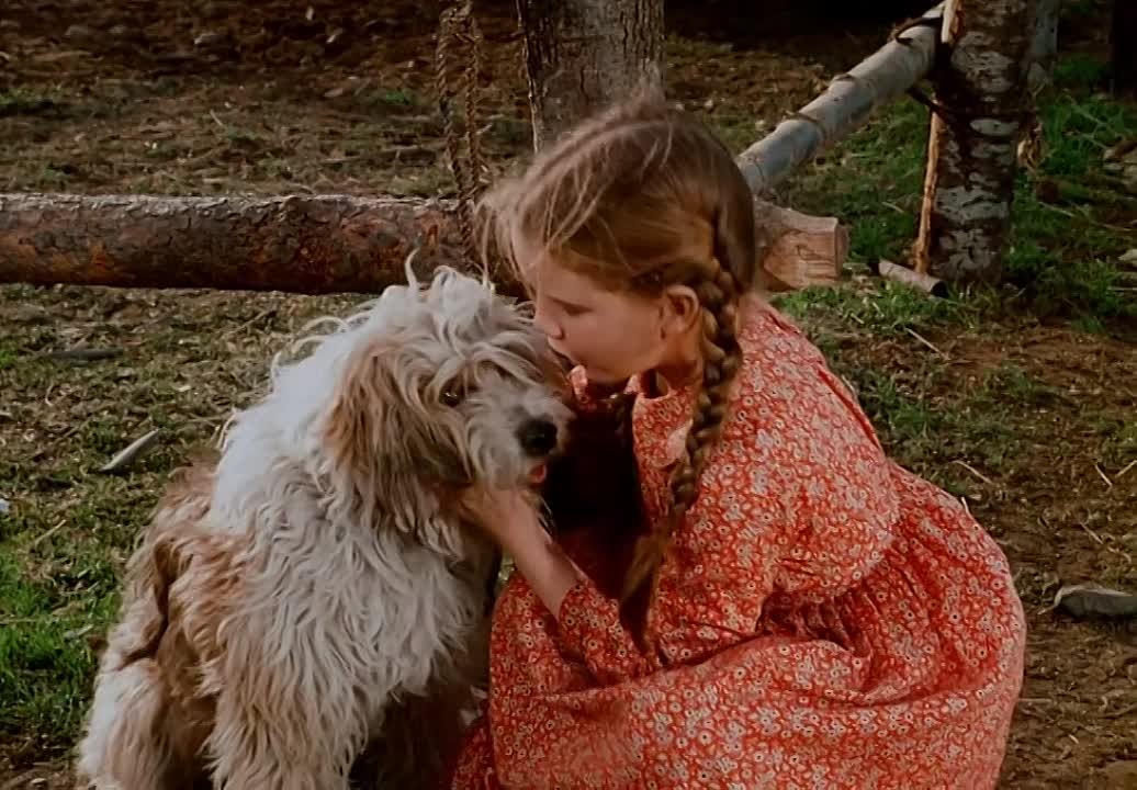 La Petite Maison dans la Prairie les Téléfilms