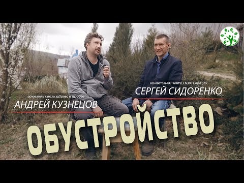 ИЗ ГОРОДА В ДЕРЕВНЮ