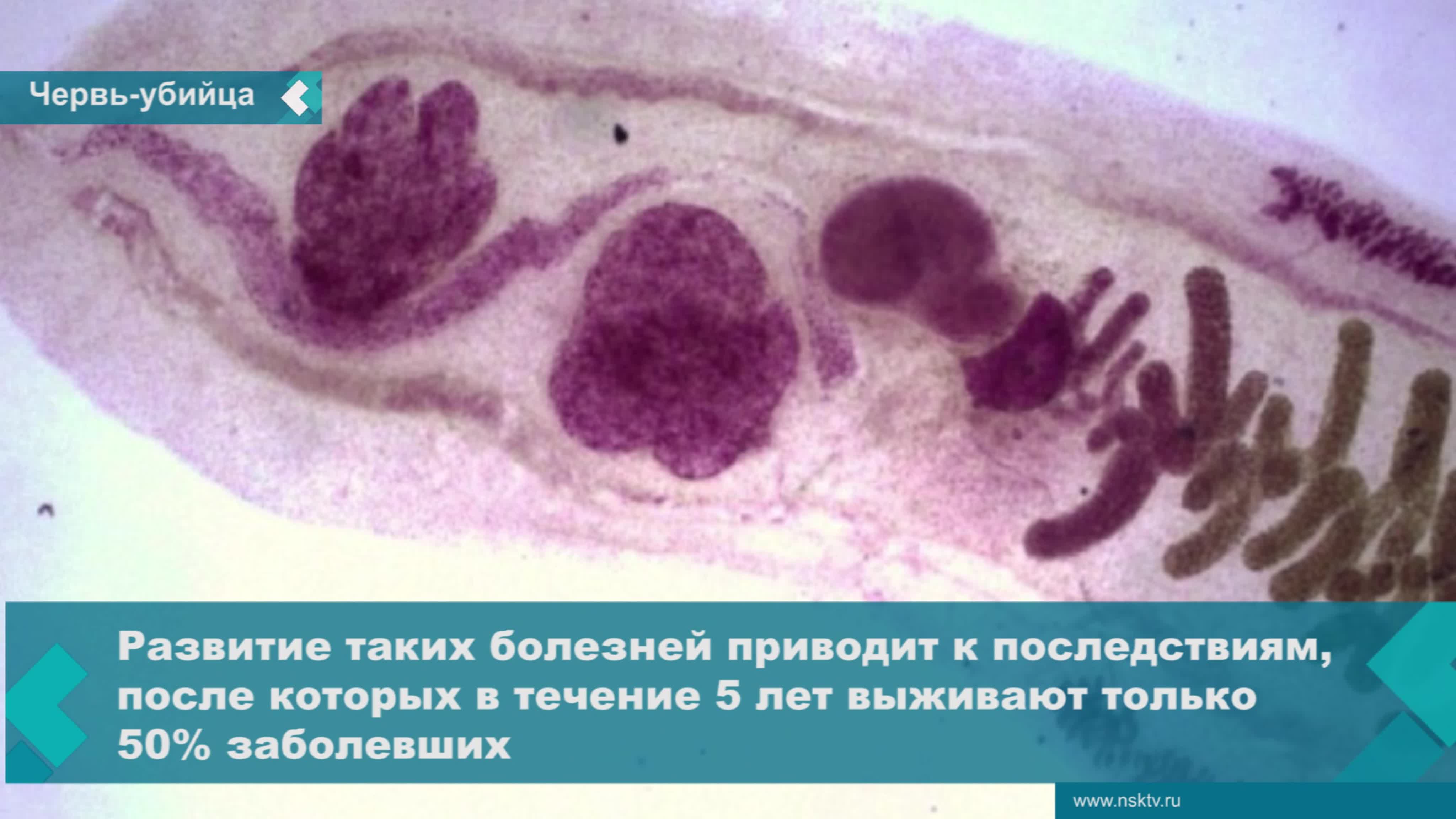 Видео