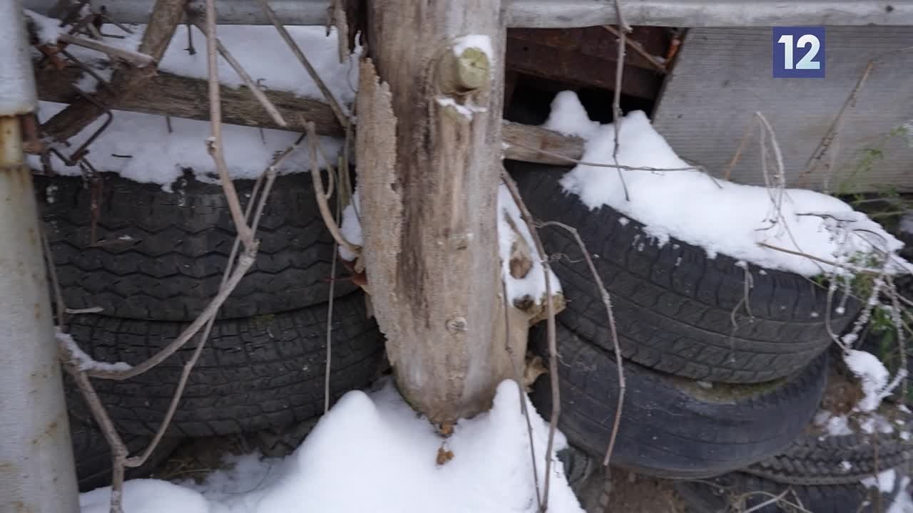 Экополис