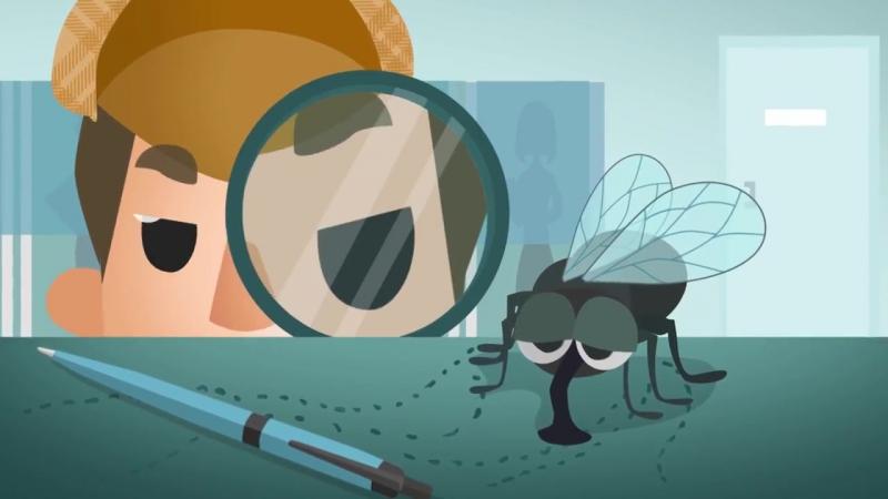 Информационные материалы по выборам Президента РФ 18.03.2017