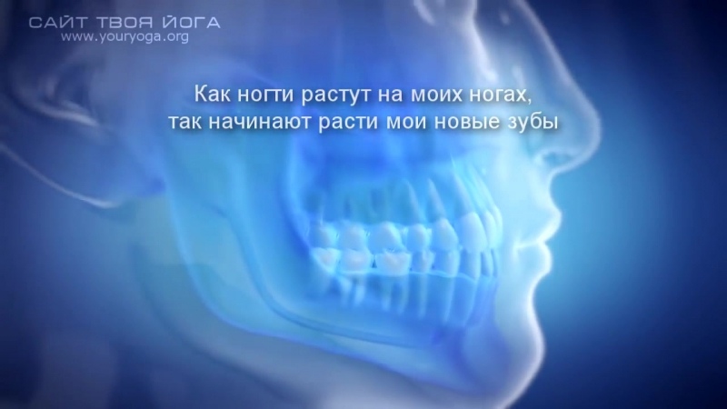ЗДОРОВЬЕ