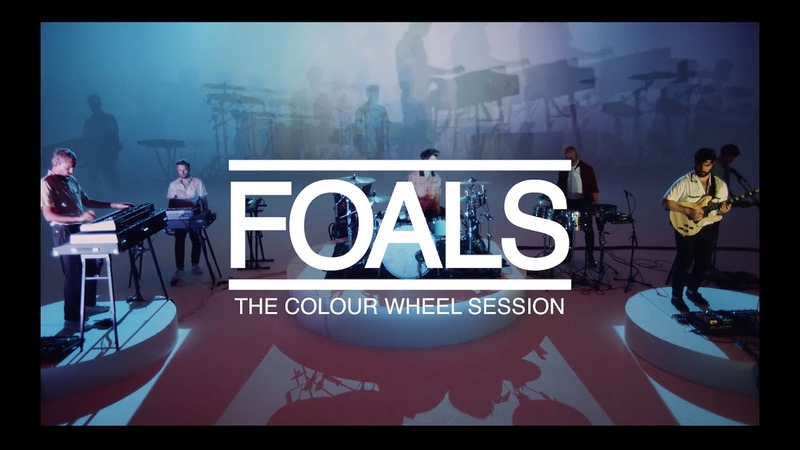 Foals