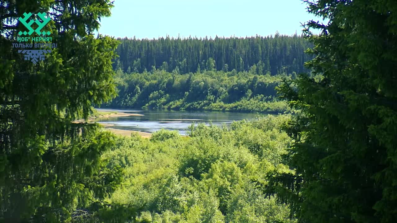 Зарисовки