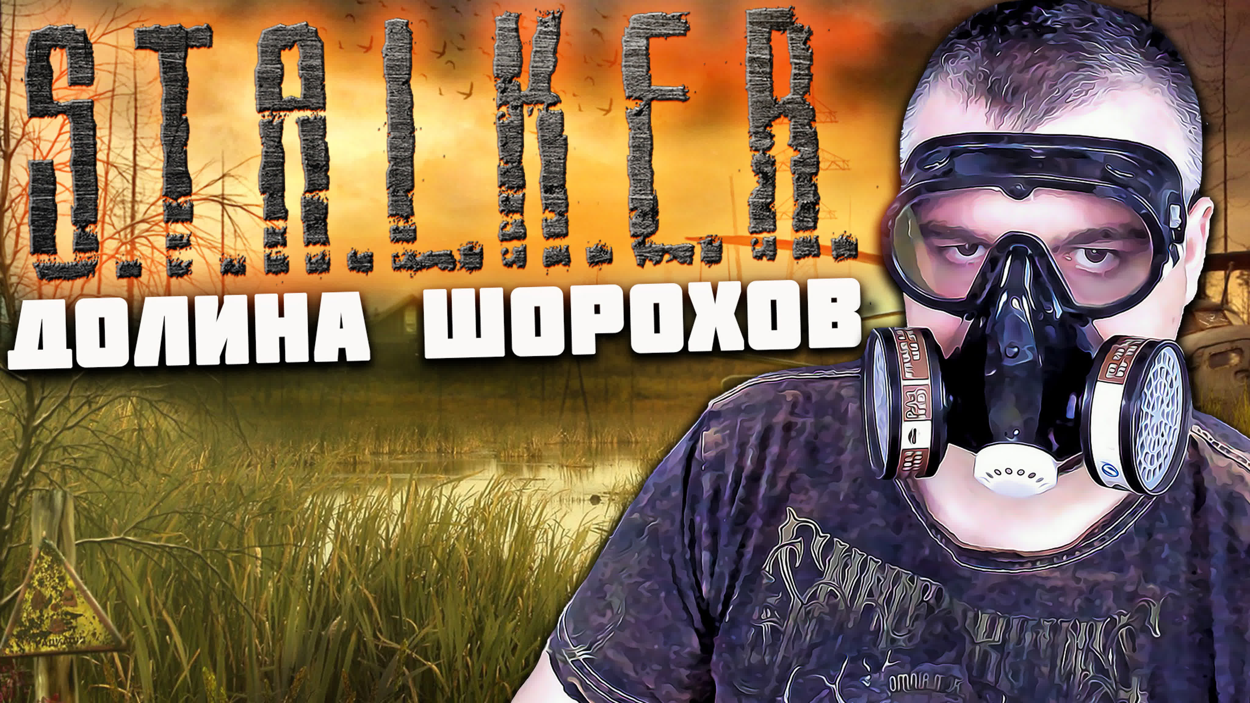 Stalker Долина Шорохов Gunslinger