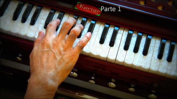 гармошка караталы мриданг