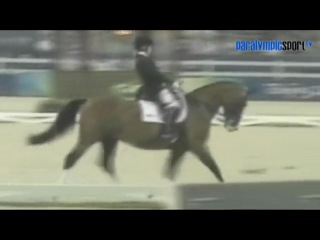 " Para Dressage "