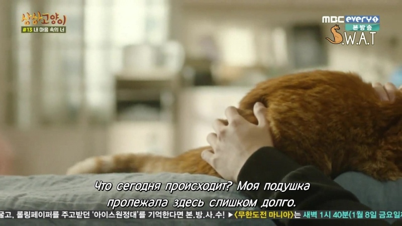 «Imaginary Cat» с субтитрами