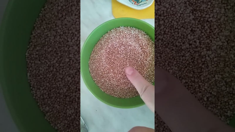 Рецепты