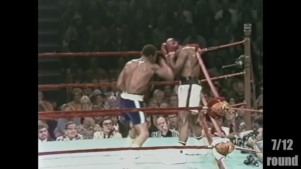 Золотая хроника бокса