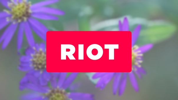 Riot.js