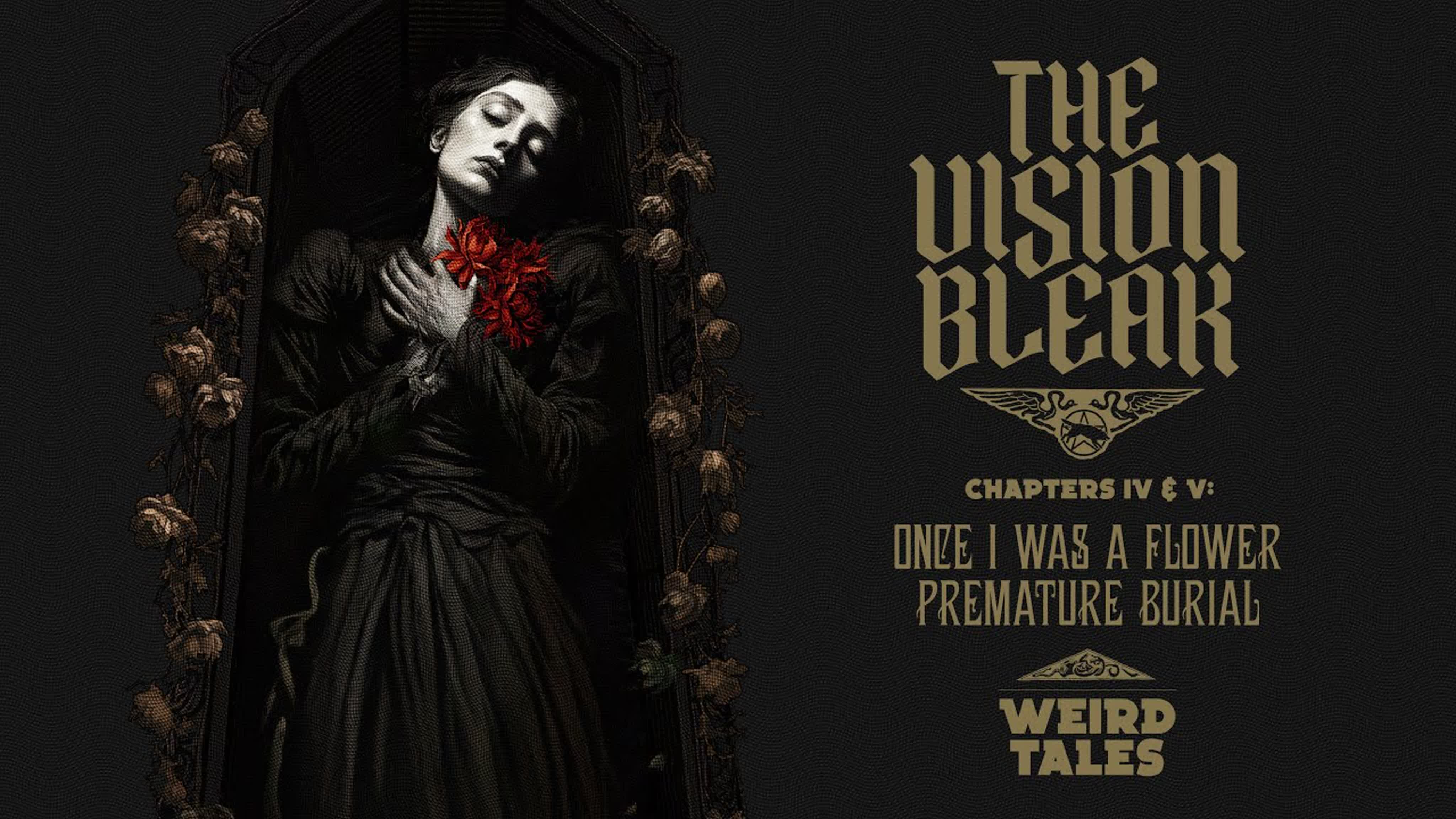 The Vision Bleak