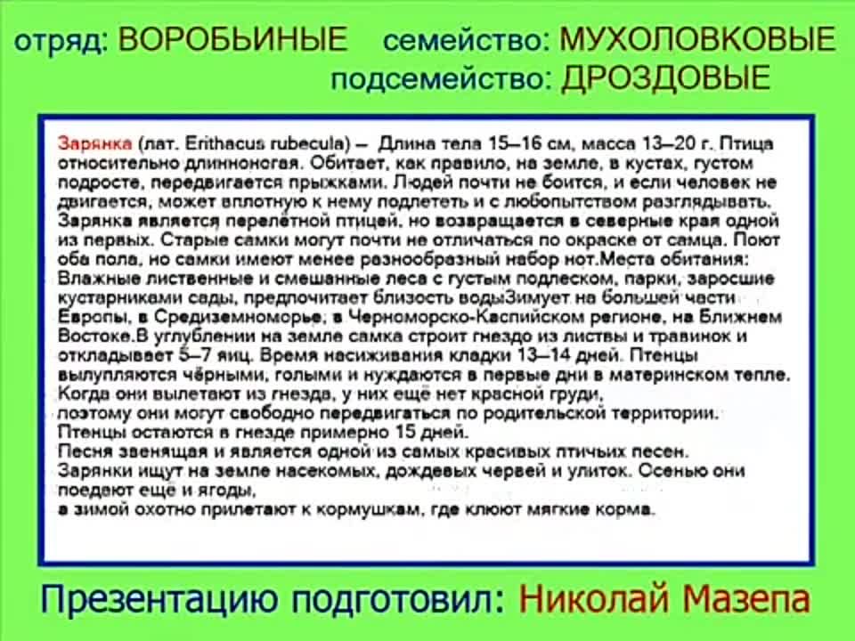 Пввчие птицы