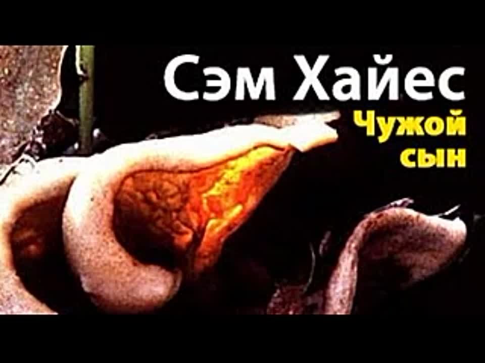 Сэм Хайес. Чужой сын