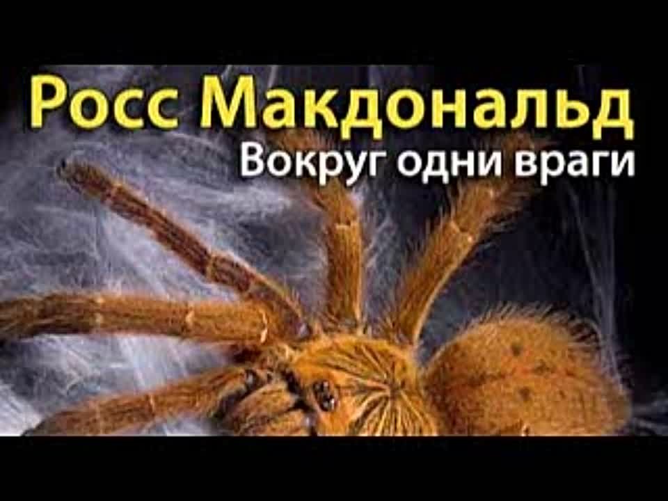 Росс Макдональд. Вокруг одни враги