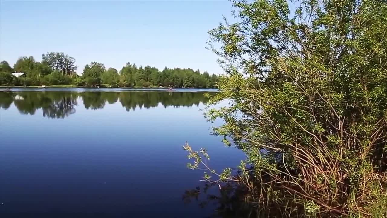 Музыка