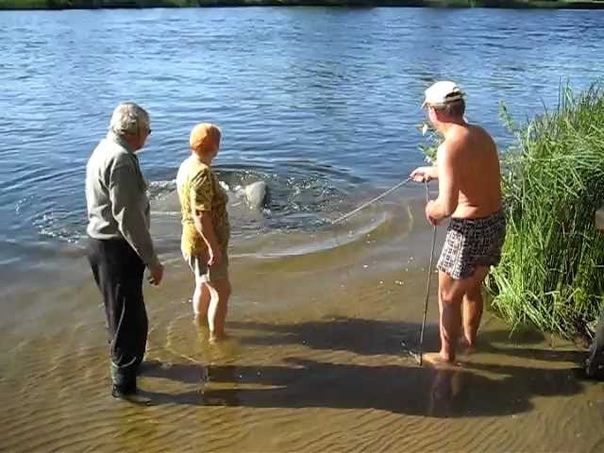 Рыбалка