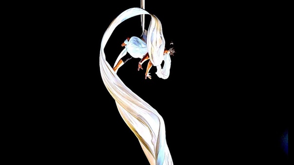 Silks - Полотна