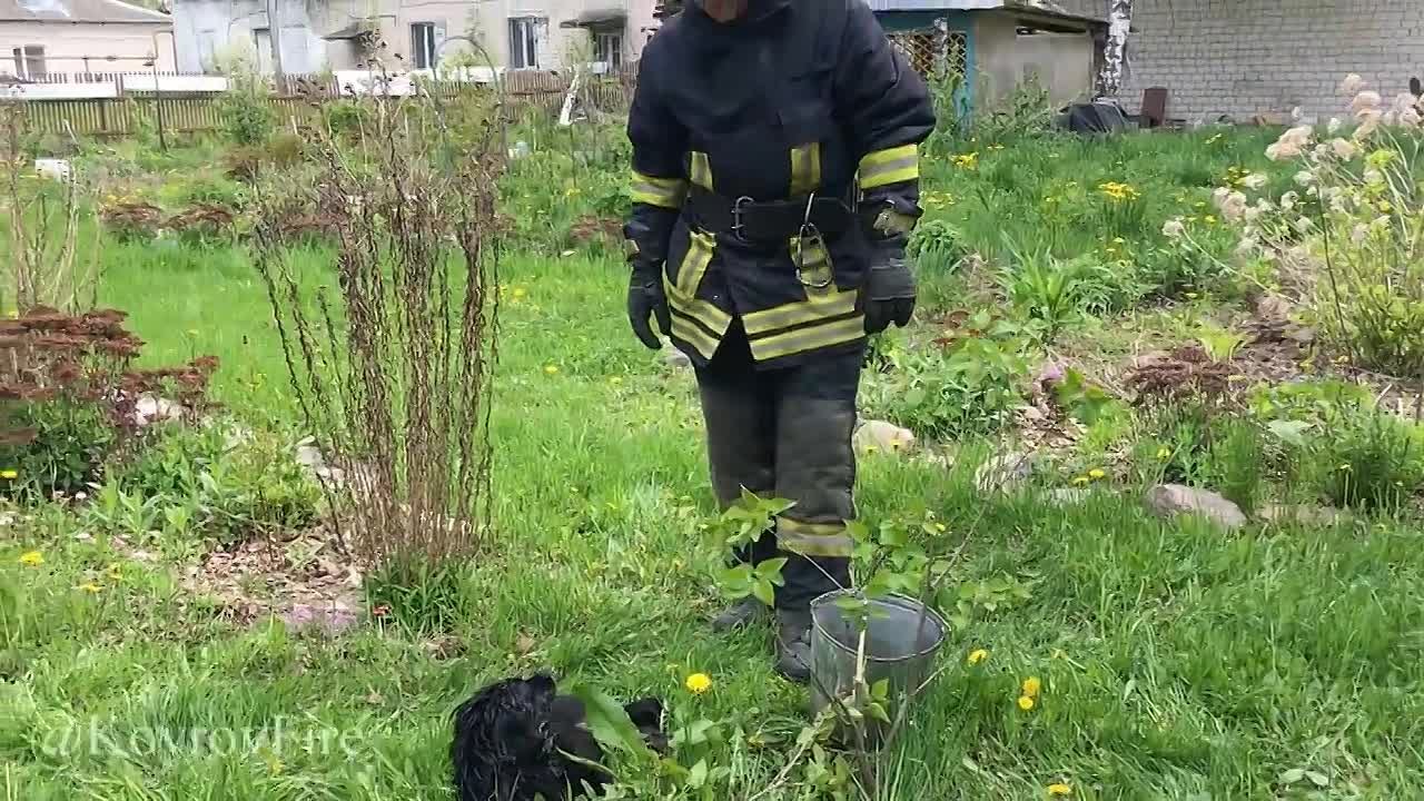 Слава России