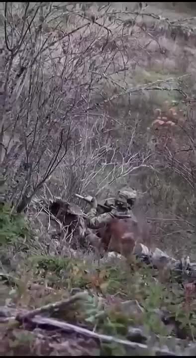УКРАИНСКИЙ ФРОНТ