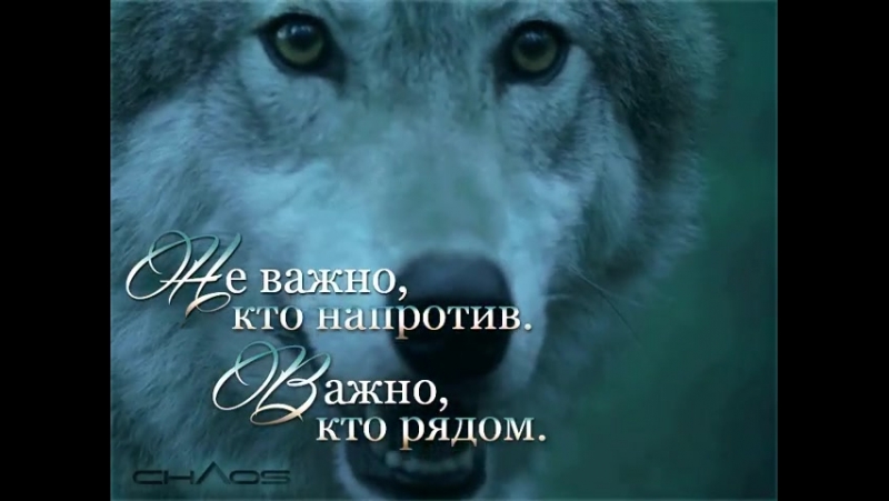 Бегущая с волками