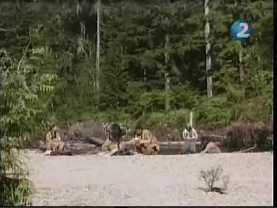 ФИЛМИ ЗА ЖИВОТНИ