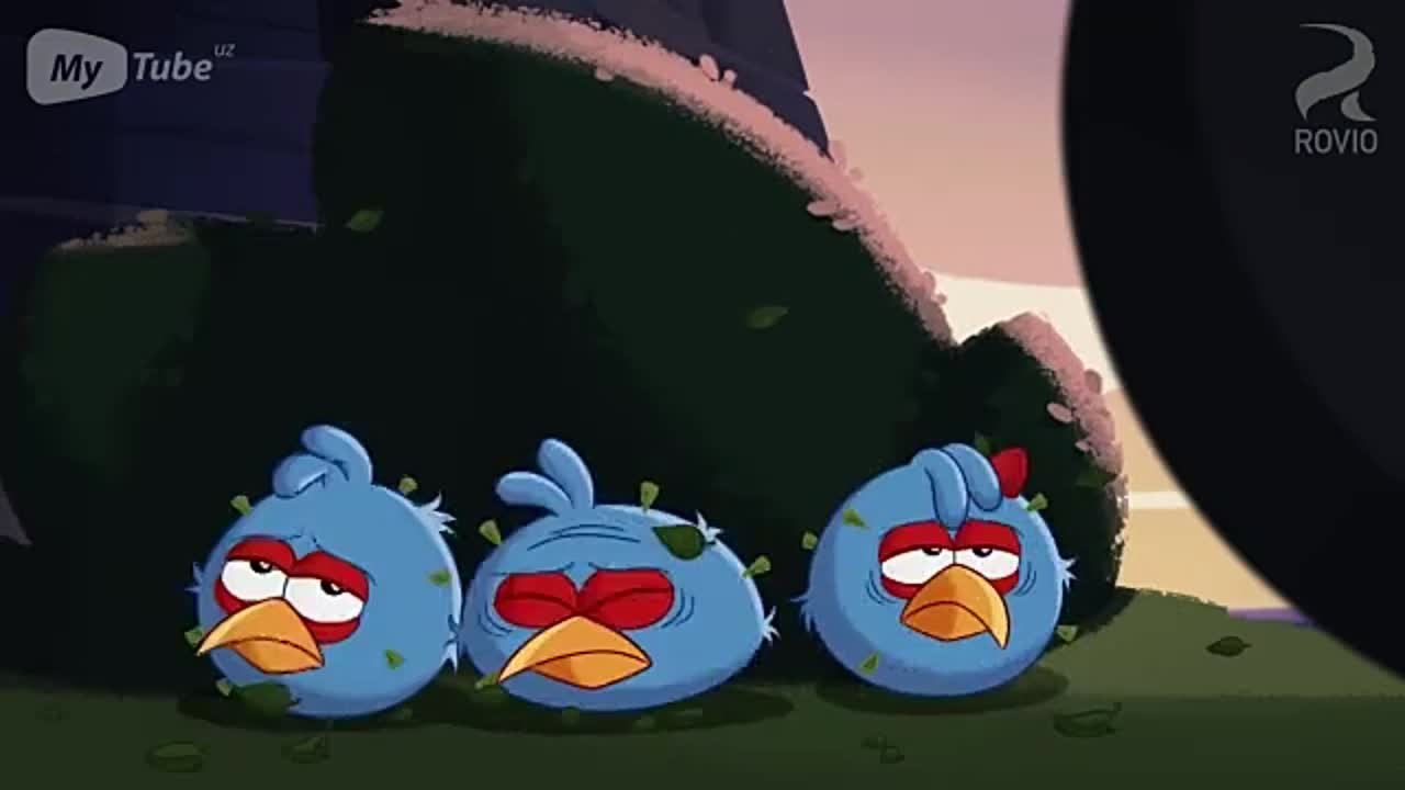 Angry Birds Toons