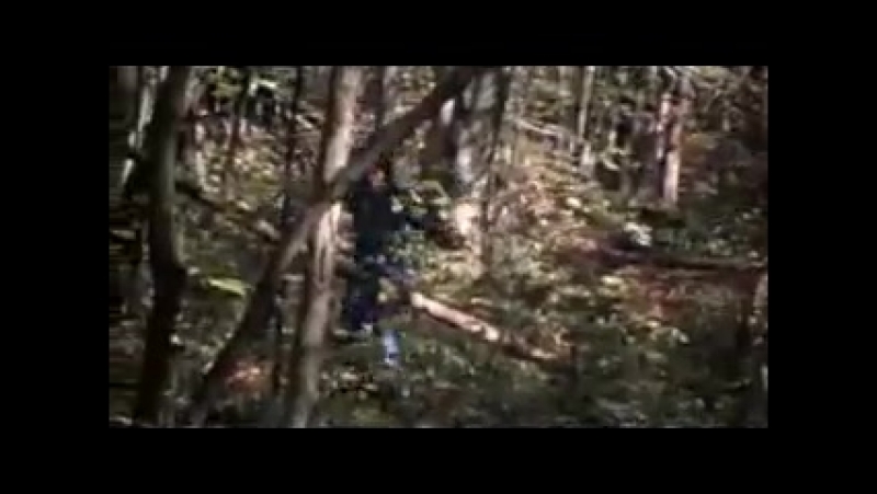 Фильм : Последний дом слева