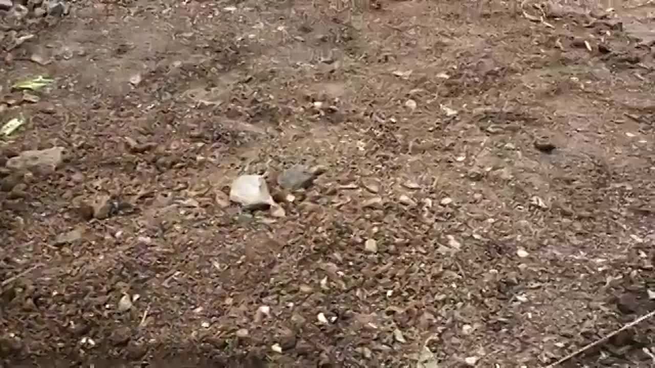 Дача